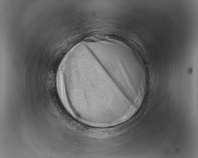 X0000115380029200912011216