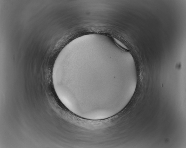 X0000115380031200912011216