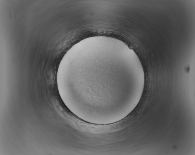 X0000115380039200912011216