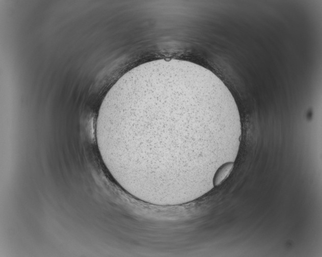 X0000115380042200912011216