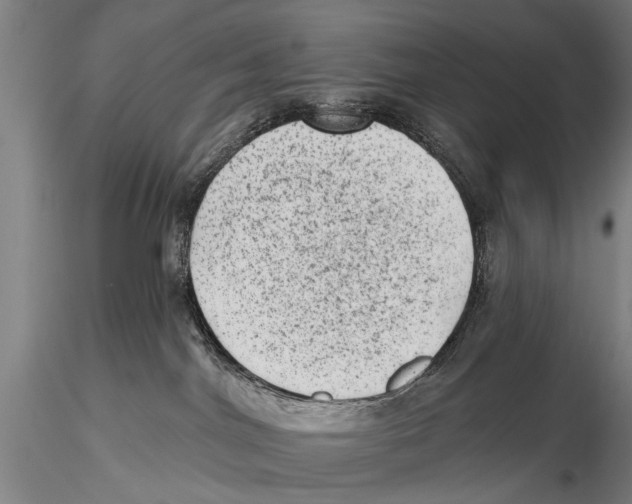 X0000115380044200912011216