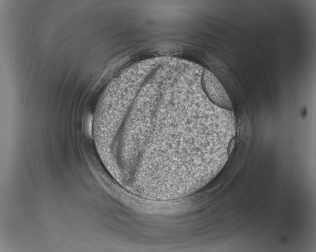 X0000115380046200912011216