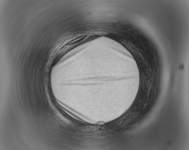 X0000115380049200912011215