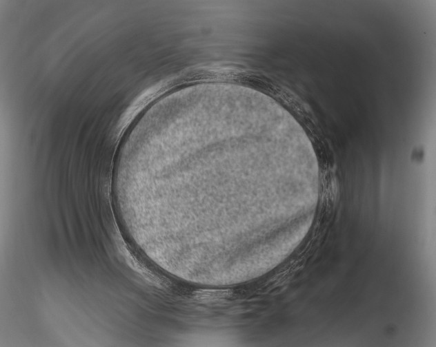 X0000115380051200912011215