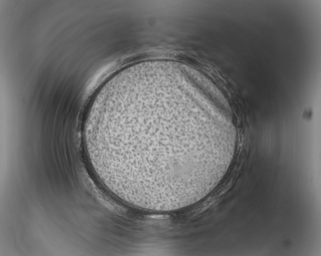 X0000115380053200912011215