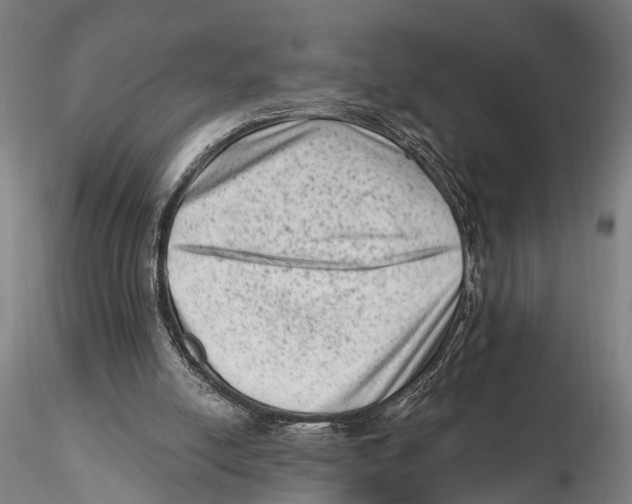 X0000115380054200912011215