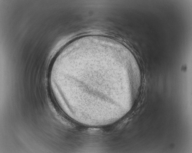 X0000115380055200912011215