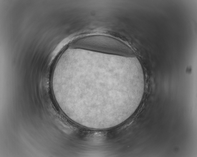 X0000115380056200912011215