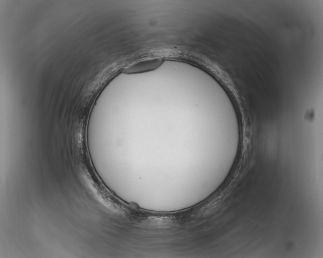 X0000115380057200912011215