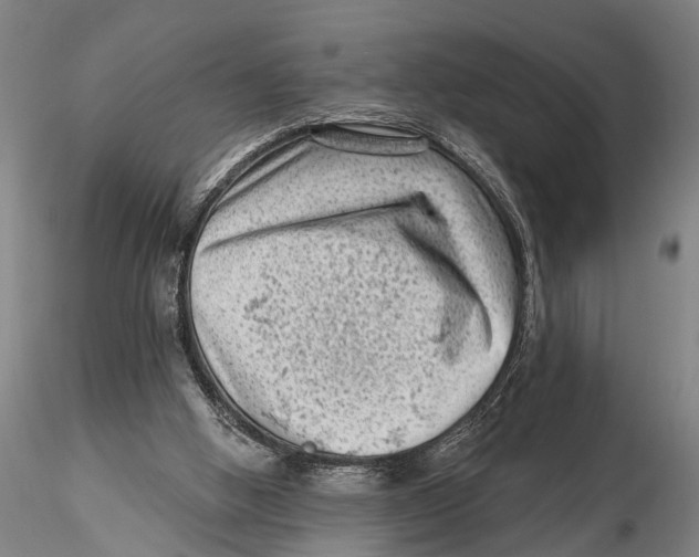 X0000115380058200912011215