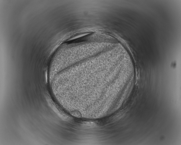 X0000115380061200912011215