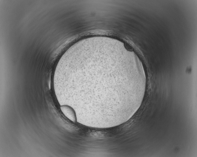 X0000115380062200912011215