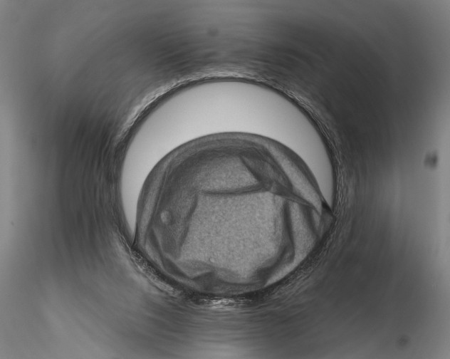 X0000115380064200912011215