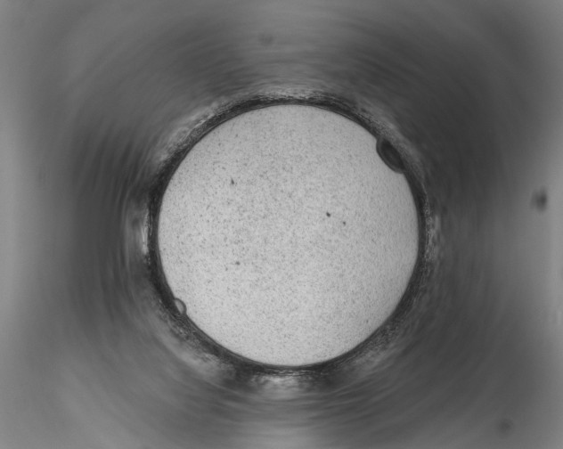 X0000115380068200912011215