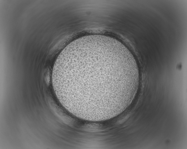 X0000115380069200912011215