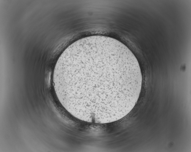 X0000115380070200912011215