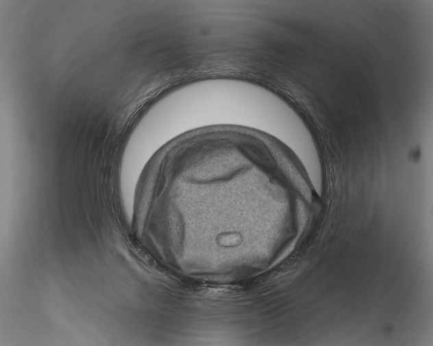 X0000115380072200912011215