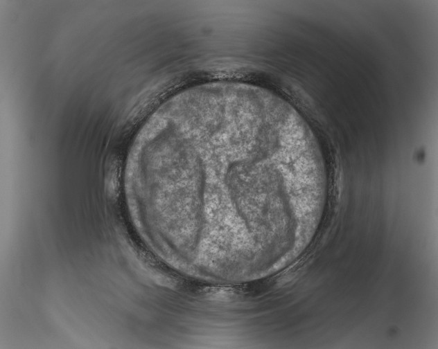 X0000115380074200912011215