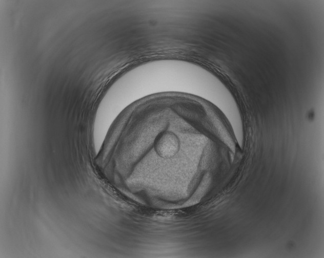 X0000115380076200912011215