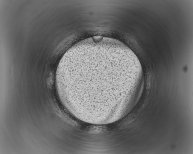 X0000115380077200912011215