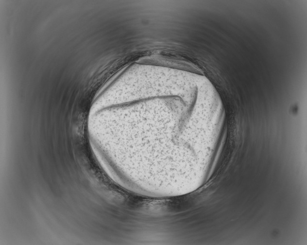 X0000115380078200912011215