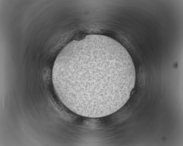 X0000115380079200912011215