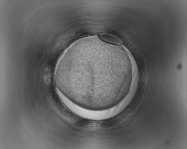 X0000115380080200912011215