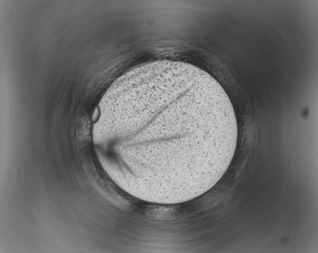 X0000115380081200912011215