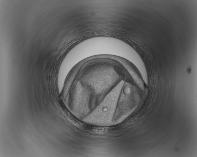 X0000115380084200912011215