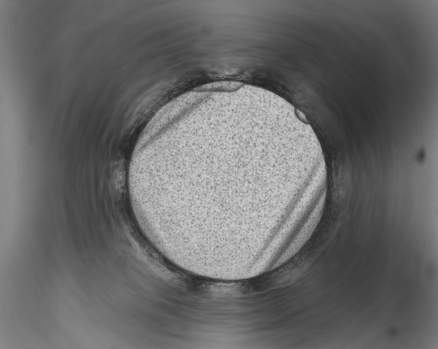 X0000115380085200912011215