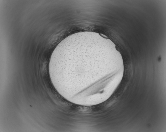 X0000115380088200912011215