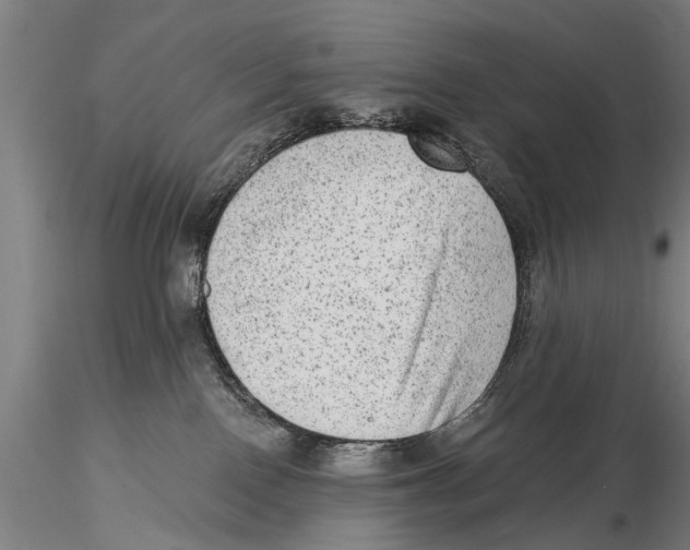 X0000115380090200912011215