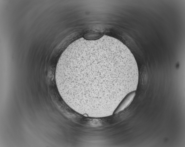 X0000115380091200912011215