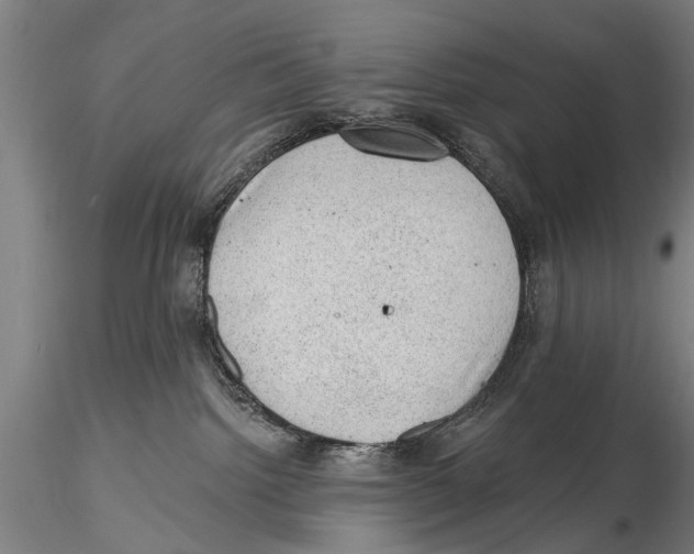 X0000115380092200912011215