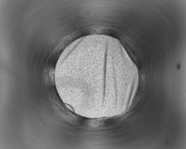 X0000115380094200912011215