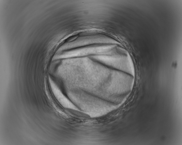 X0000115380097200912011215