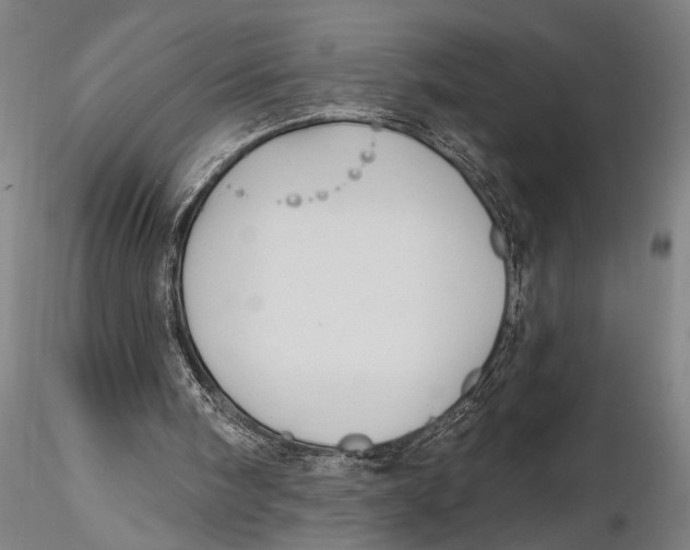 X0000115380098200912011215