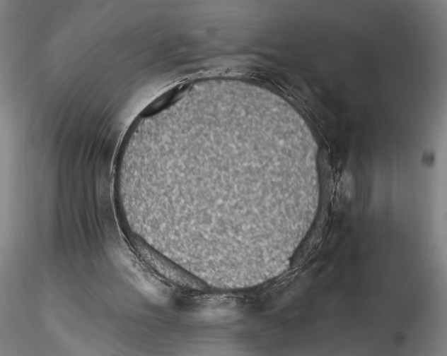 X0000115380100200912011215