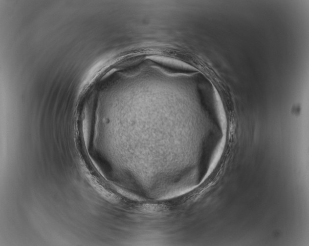 X0000115380101200912011215