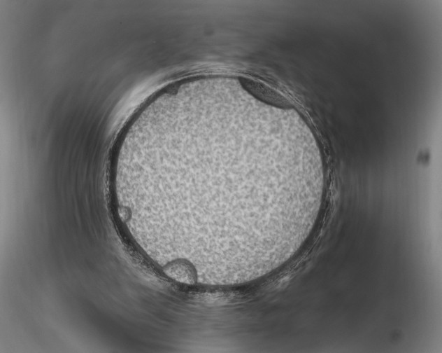 X0000115380103200912011215