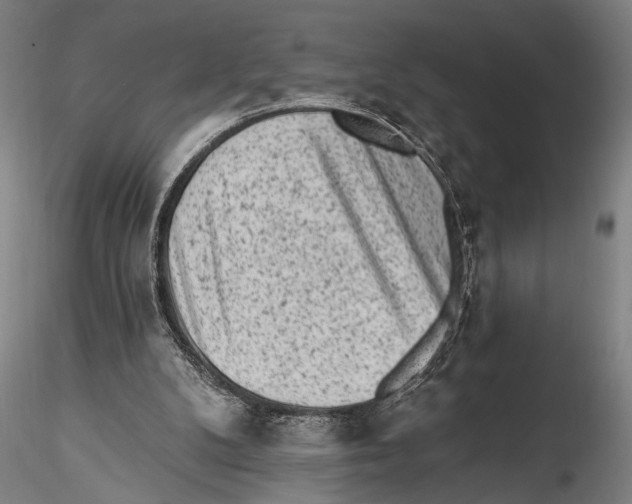 X0000115380104200912011215