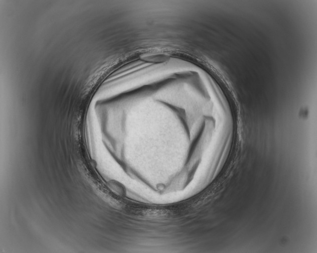 X0000115380105200912011215