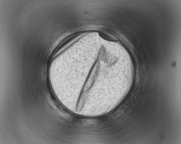 X0000115380107200912011215