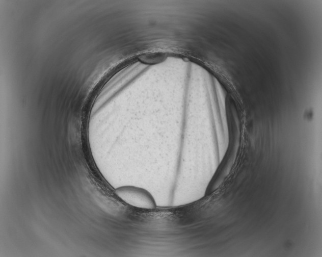 X0000115380108200912011215