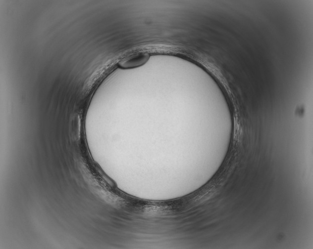 X0000115380109200912011215