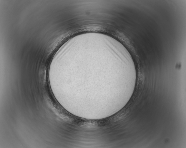 X0000115380110200912011215