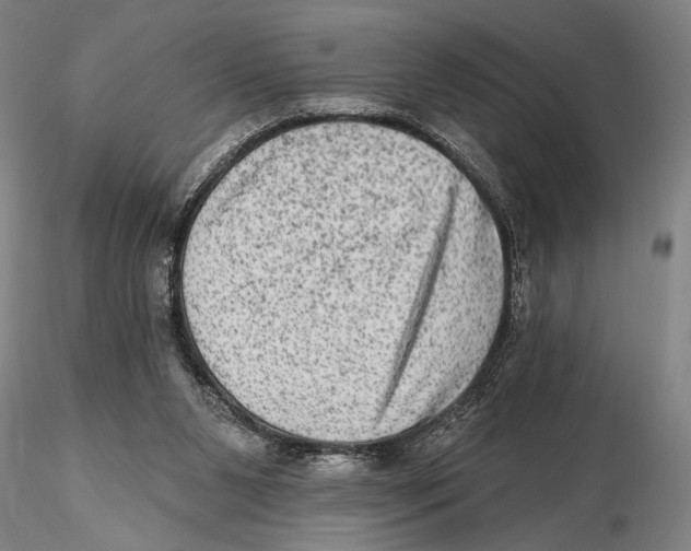 X0000115380111200912011215