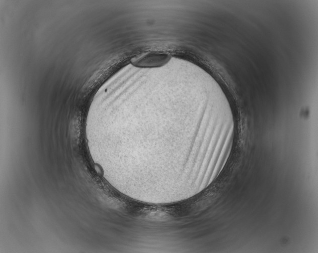 X0000115380113200912011215