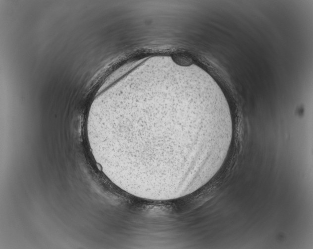 X0000115380115200912011215