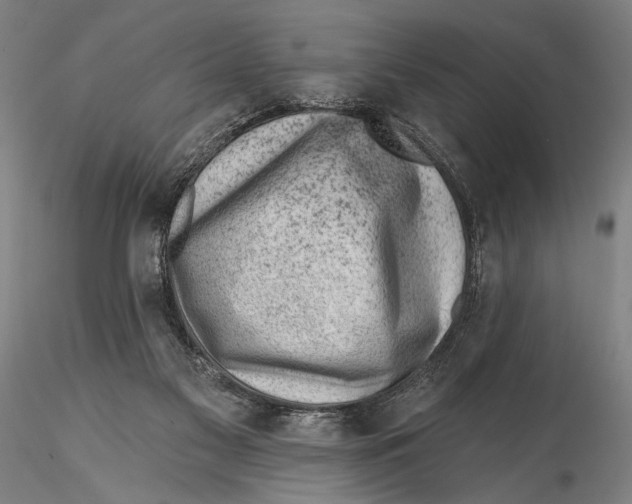 X0000115380117200912011215